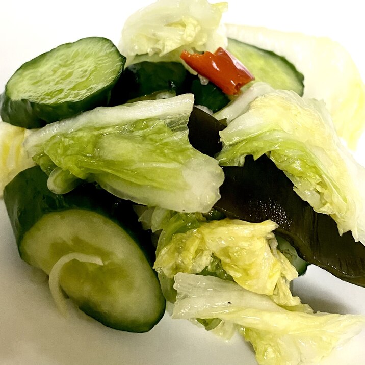 白菜と胡瓜の浅漬け